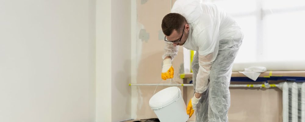 צבעי מקצועי